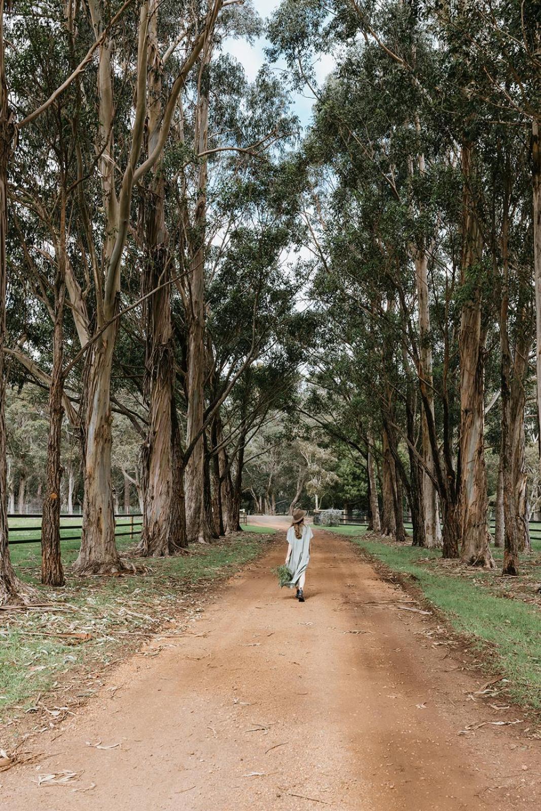 Chambre Estate Margaret River Zewnętrze zdjęcie